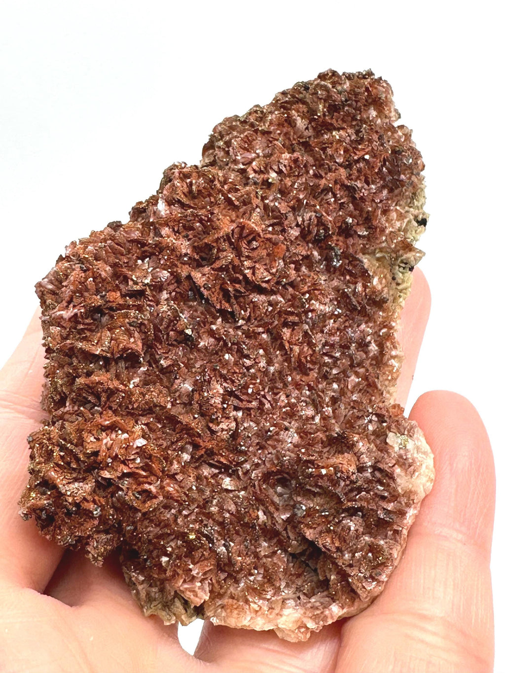 154 Grams One-of-a-Kind Bronze Barite with Pyrite Cubes, Petal-Like Crystal Formation from Morocco  Collector must Have