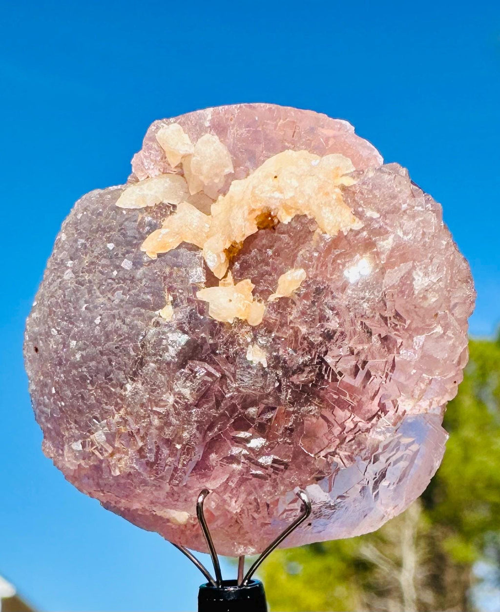 35 Grams Light Pink Botryoidal Fluorite with Calcite
