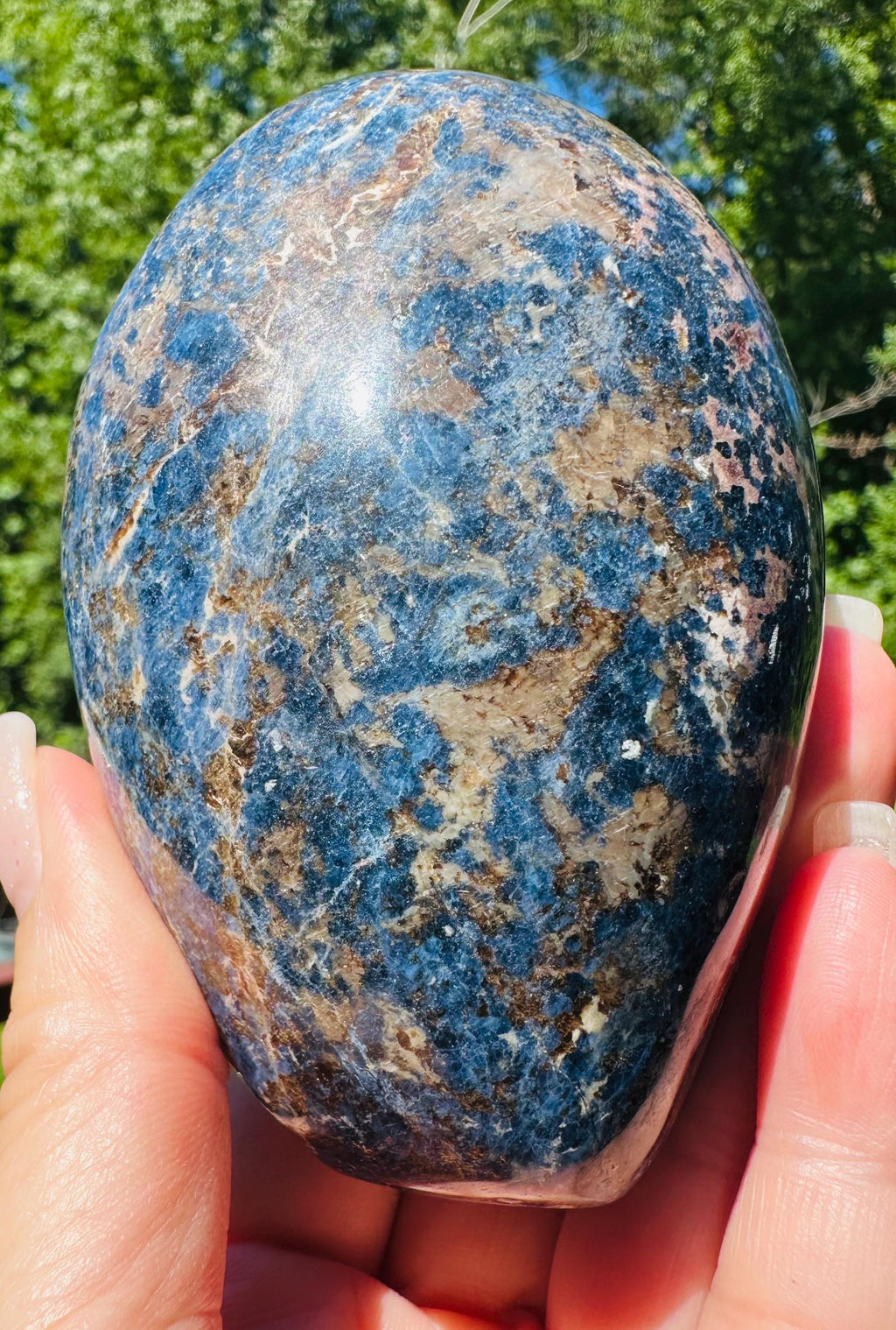 500 Grams Exceptional Dumortierite Freeform, Deep Blue with Natural Matrix & Golden Flecks - A Special Find for Collectors