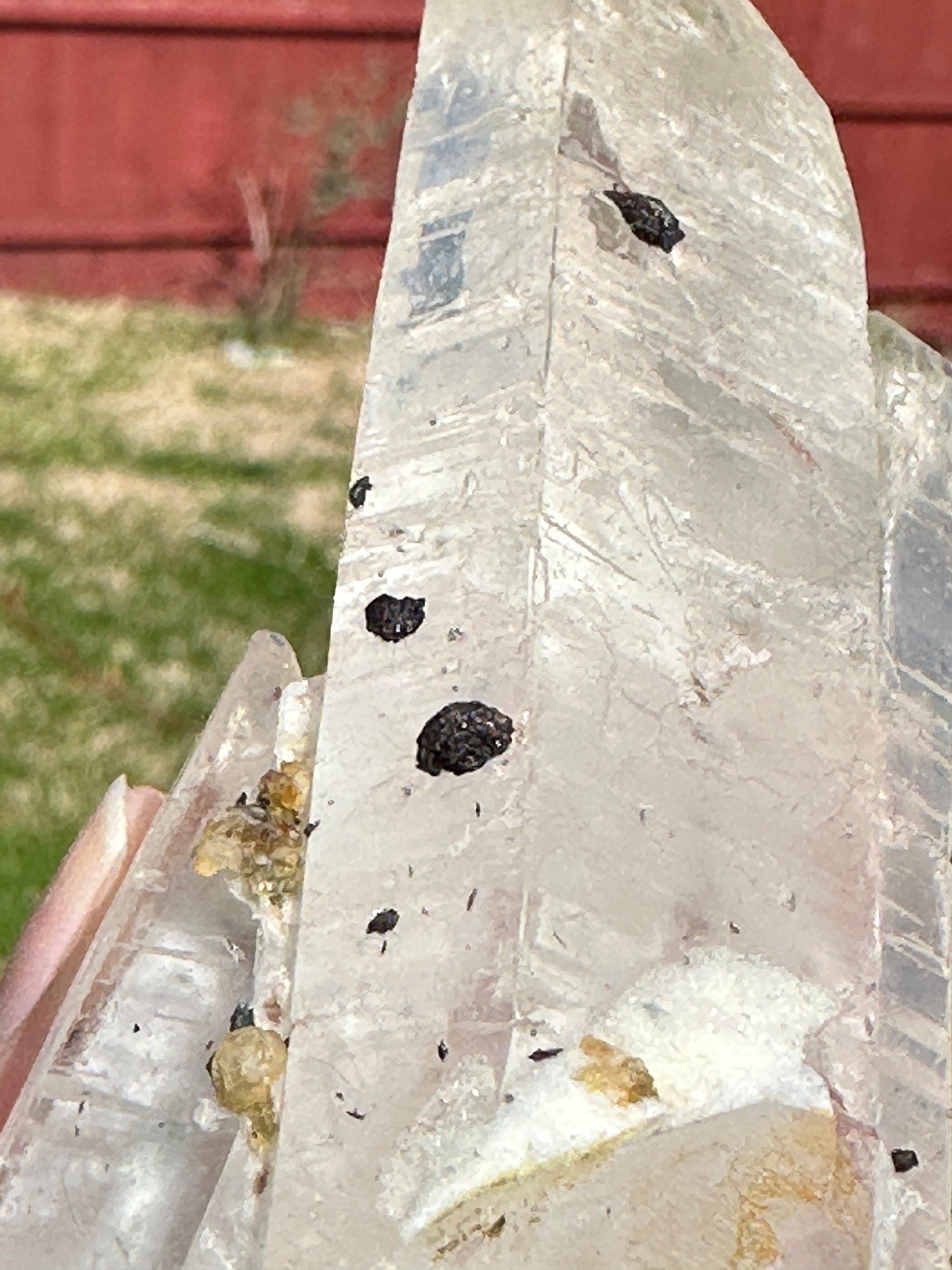 125 Grams Clear Quartz Point with mini Specularite Rosettes
