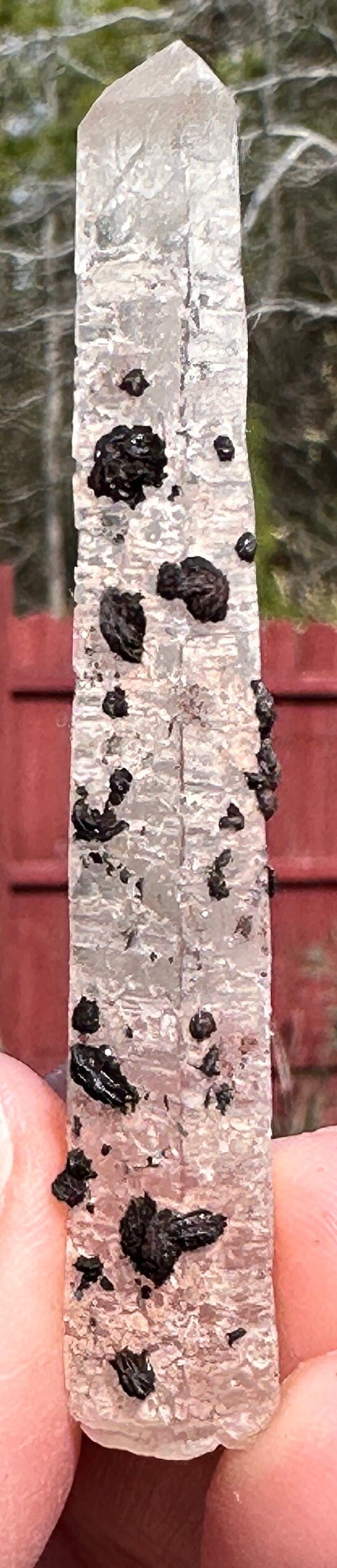 54 Grams very peculiar singing Pair of Clear Quartz Points with Specularite Rosettes
