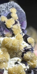 62 Grams Beautiful Unique Siderite Mini Roses in a Dark Purple Fluorite matrix from Inner Mongolia, China