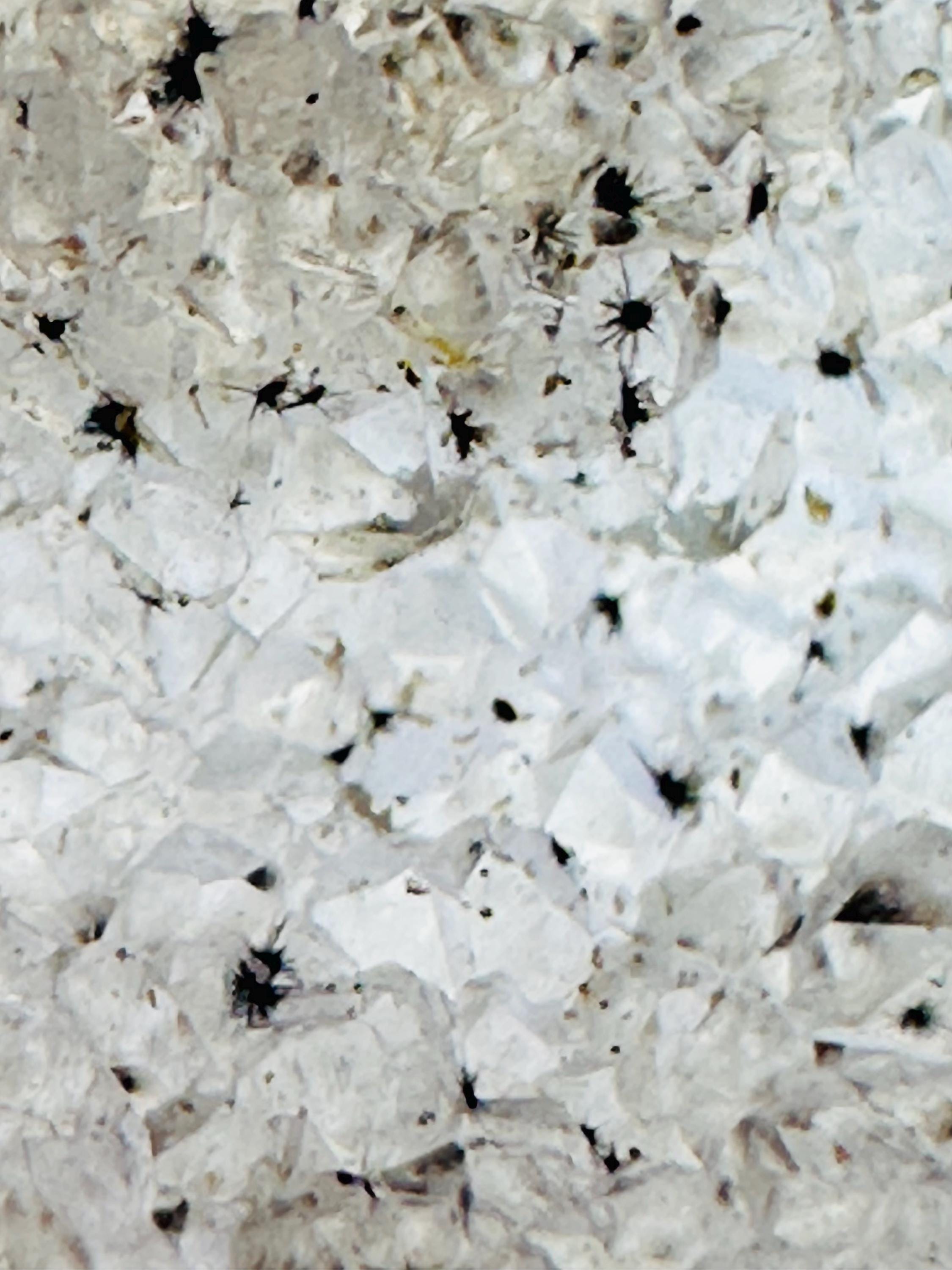 275 Grams Sparkling Pink Agate Star with Druzy & NATURAL Hollandite Stars! (with custom wooden stand)