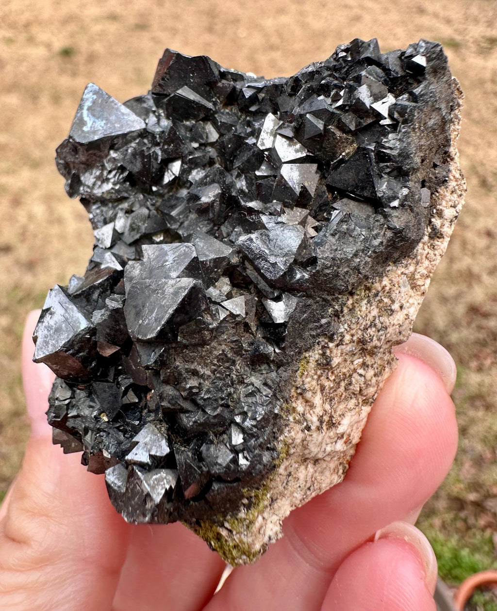 118 grams Magnetite Cluster in Matrix from Morocco