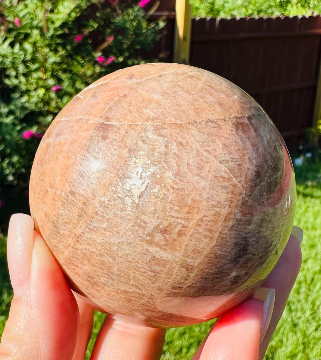 509 Grams of Harmonious Duo: Peach Moonstone Sphere & Flashing Palm Stone Set