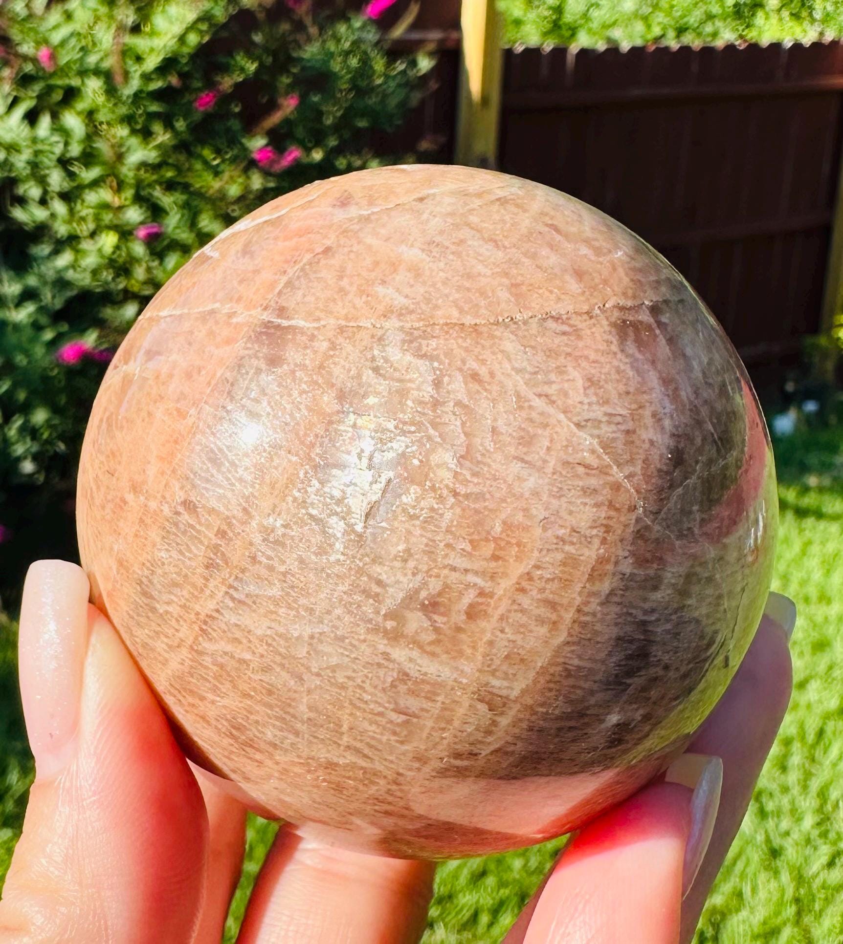 509 Grams of Harmonious Duo: Peach Moonstone Sphere & Flashing Palm Stone Set