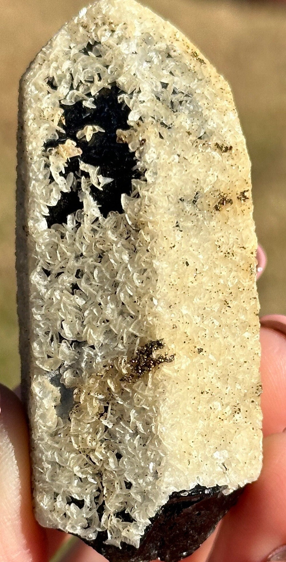 91 Grams Black Morion Quartz covered with Siderite scales and Irrisdecent Chalcopyrite patches