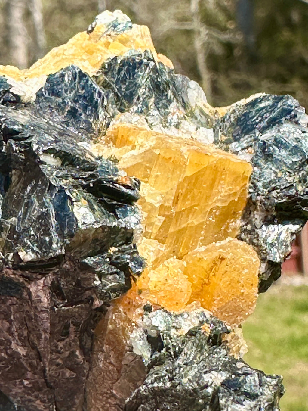 Brazilian Yellow Tourmaline in Biotite