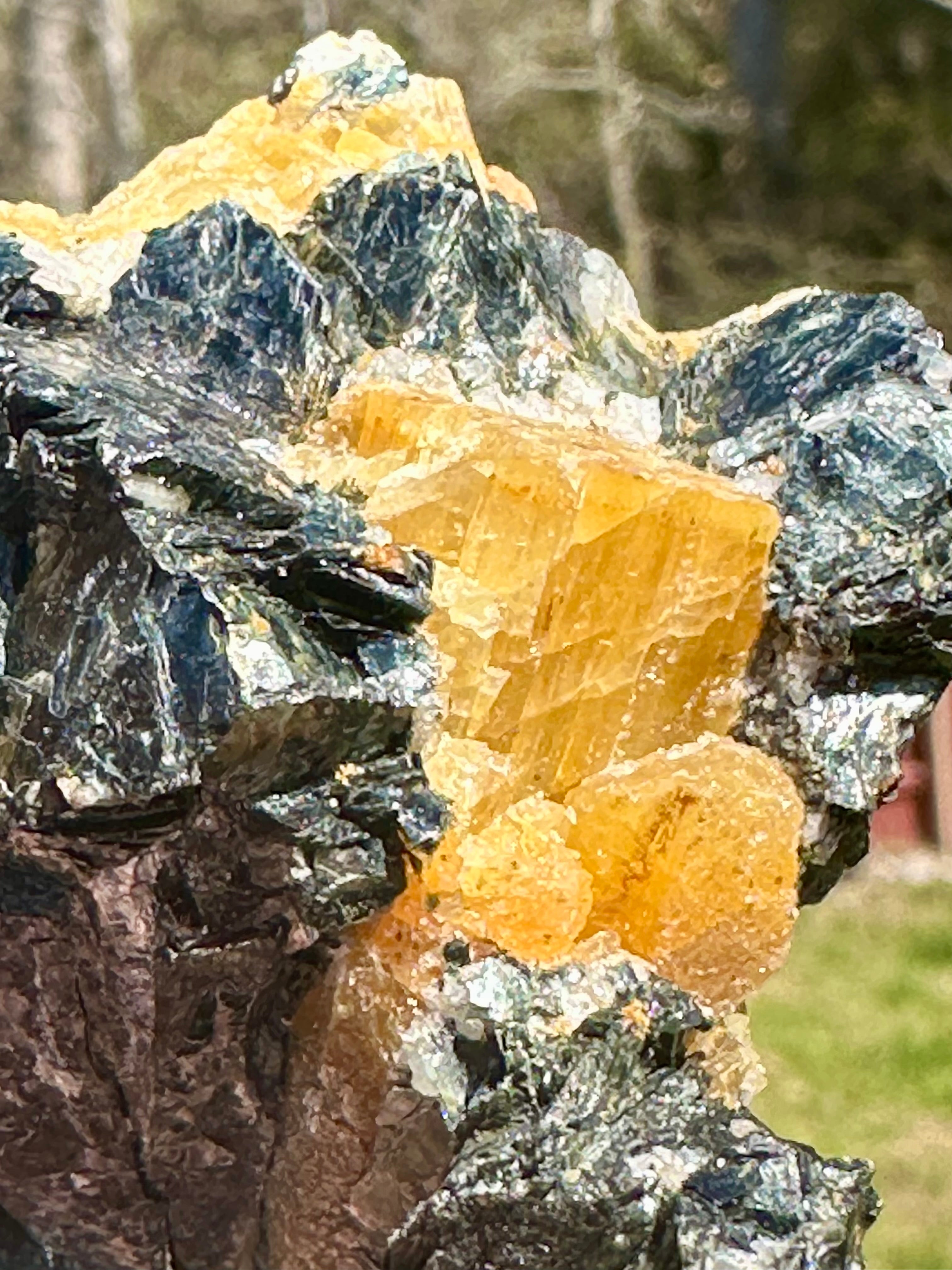 Brazilian Yellow Tourmaline in Biotite
