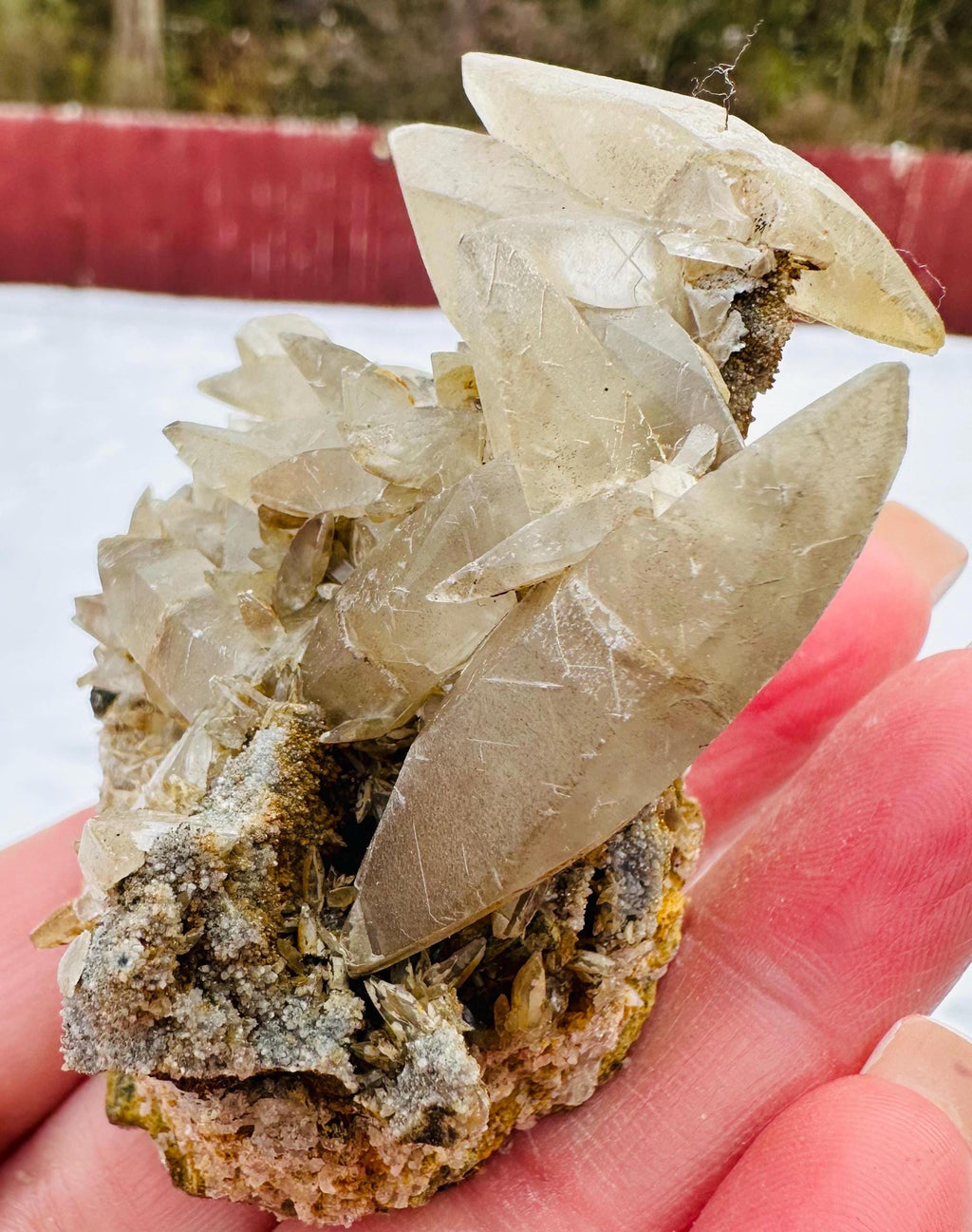 112 Grams Pristine DT Dogtooth Calcite Cluster specimen from China
