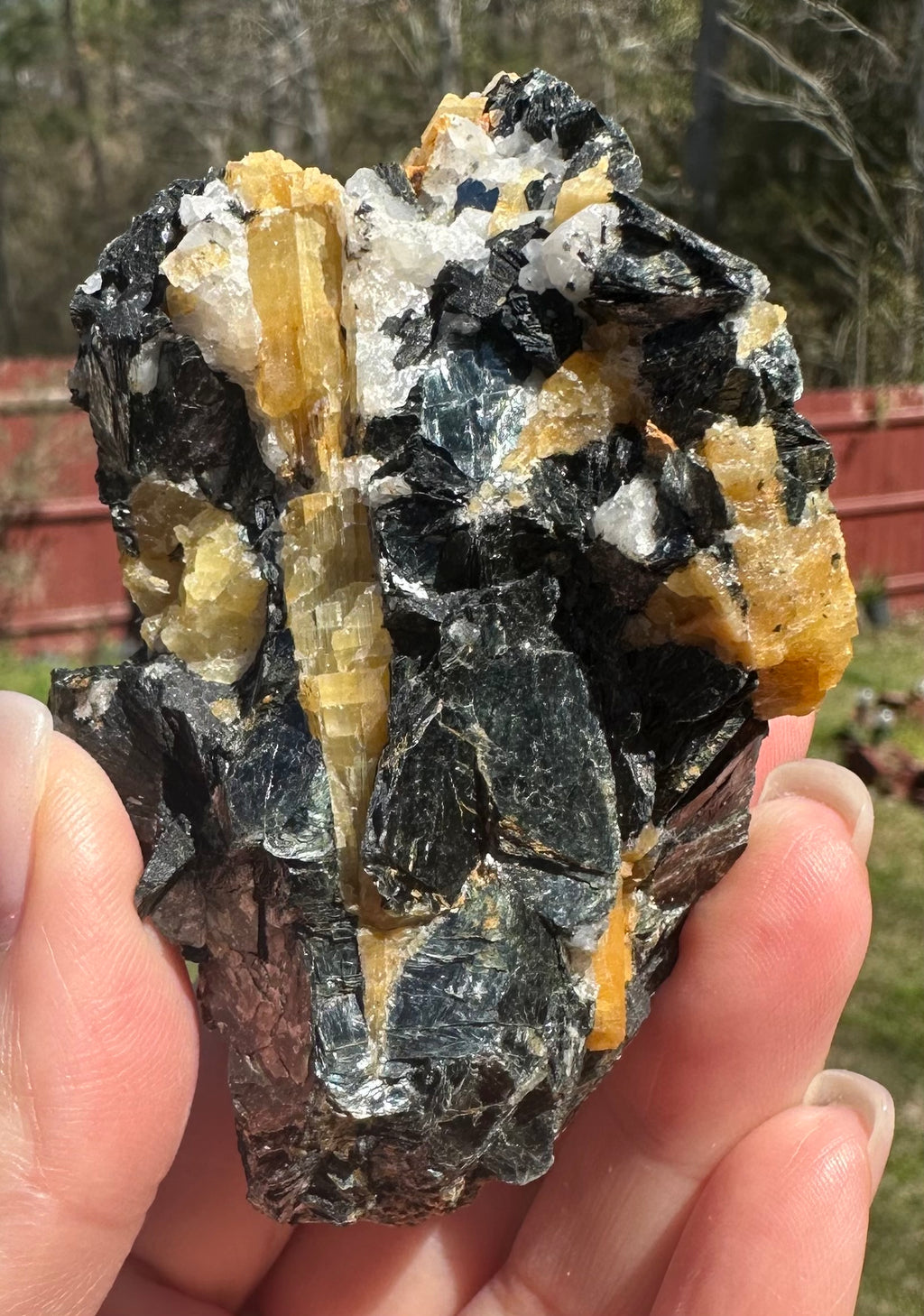 Brazilian Yellow Tourmaline in Biotite