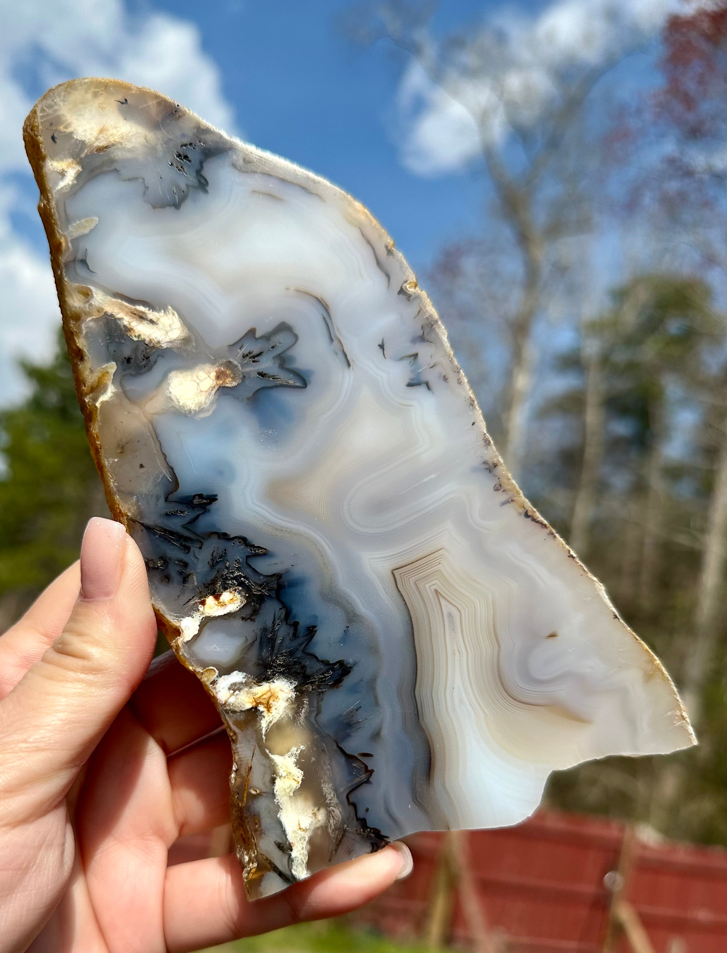 Dendritic Agate Set — Slab, Freeform & Point from Madagascar