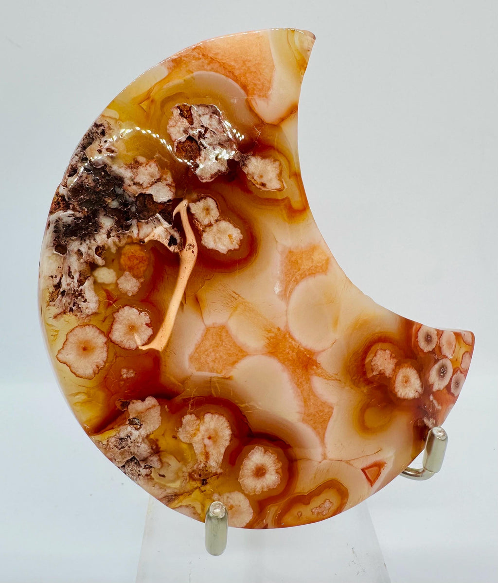 222 Grams Carnelian & Flower Agate Crescent Moon From Madagascar