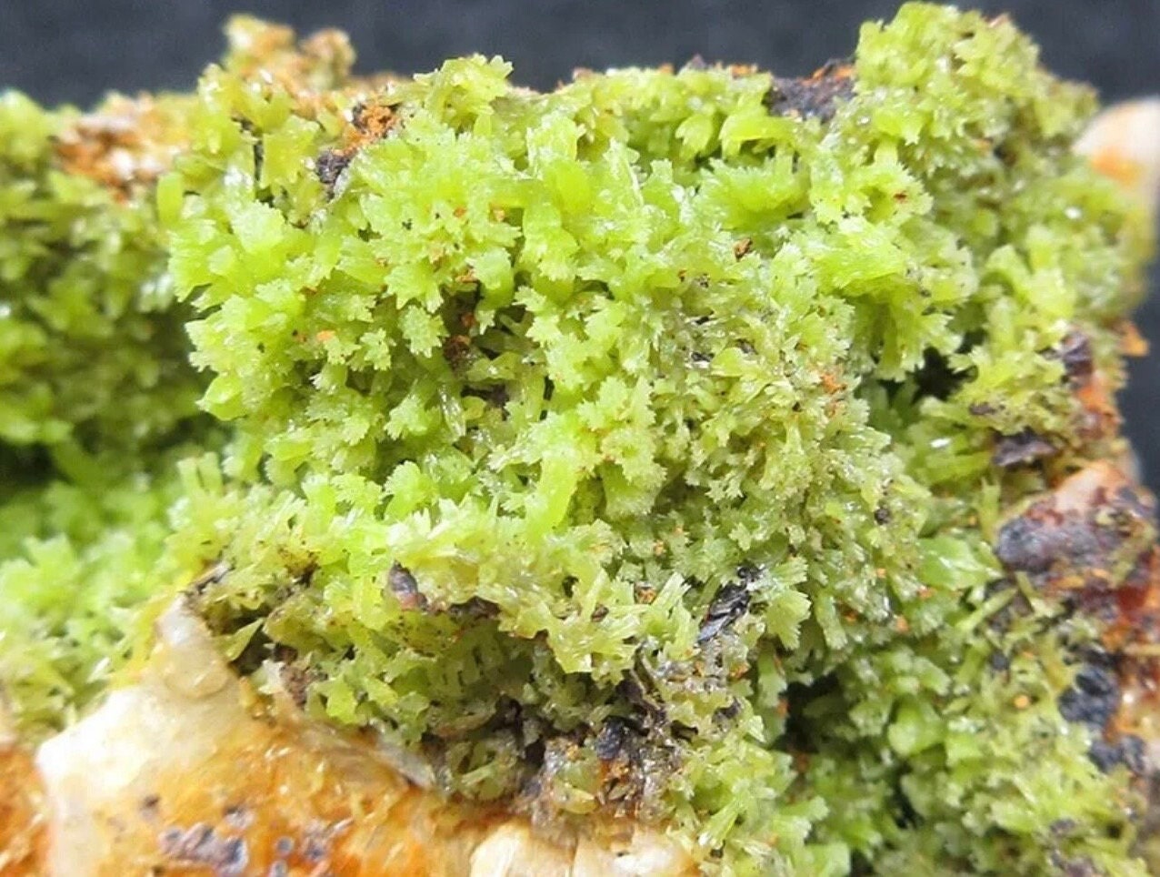 Very Sparkly Bright Green Pyromorphite Specimens / boitroyd or flower like formation