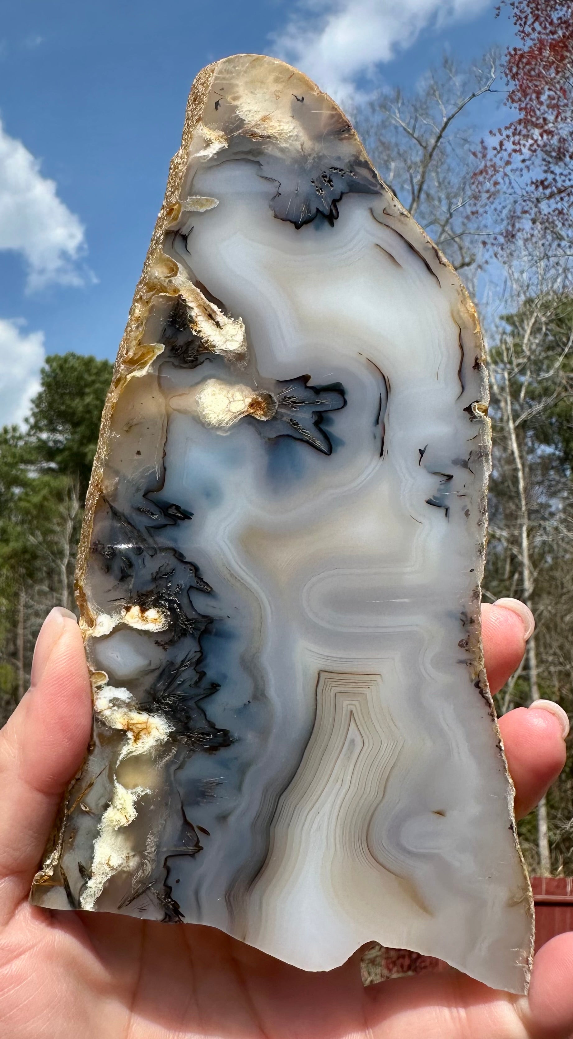 Dendritic Agate Set — Slab, Freeform & Point from Madagascar