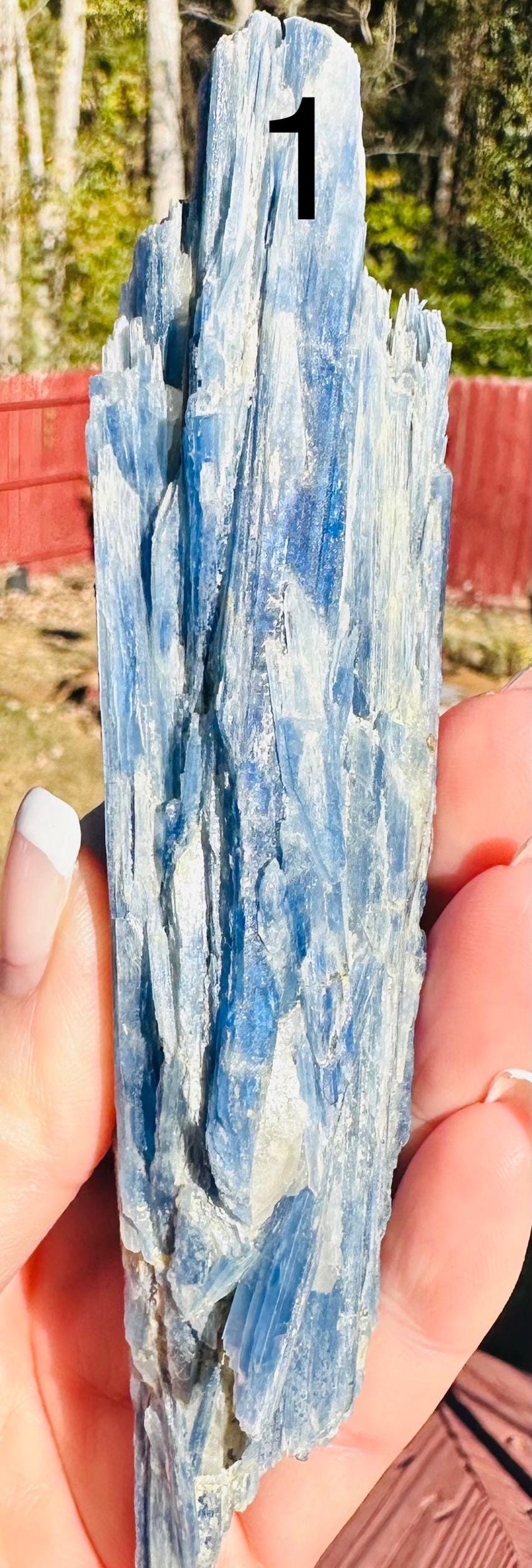Your Choice of Paraiba Blue Kyanite in Quartz