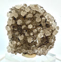 59 Grams Smoky Columnar Calcite from Fugian, China