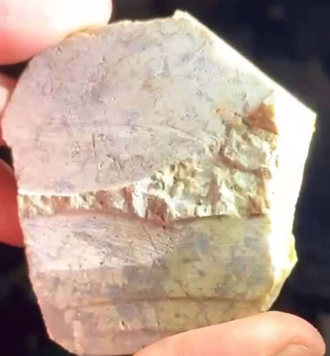 115 Grams Natural Purple Phantom Cubic Flourite over Mica Specimen from China