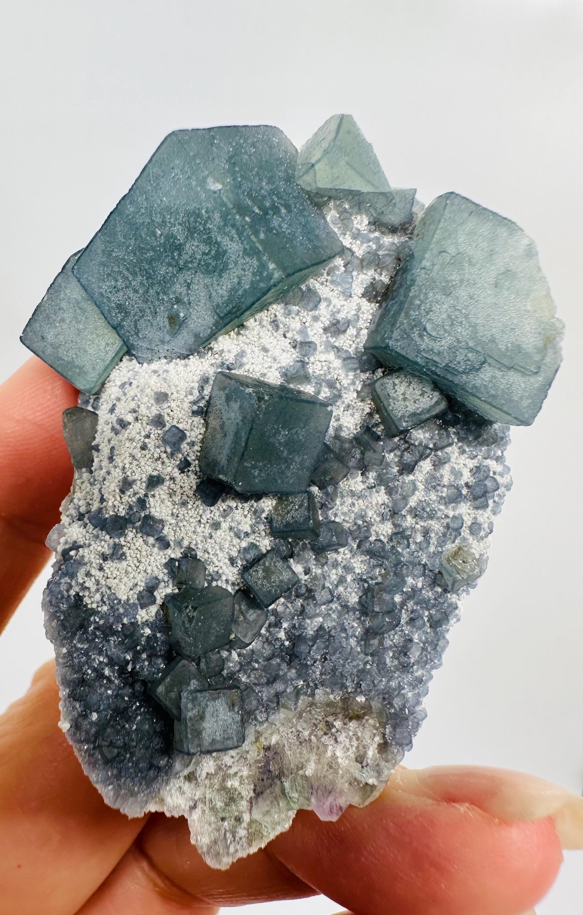 Newly Discovered Morandi Fluorite on Matrix piece from Yongchun, China