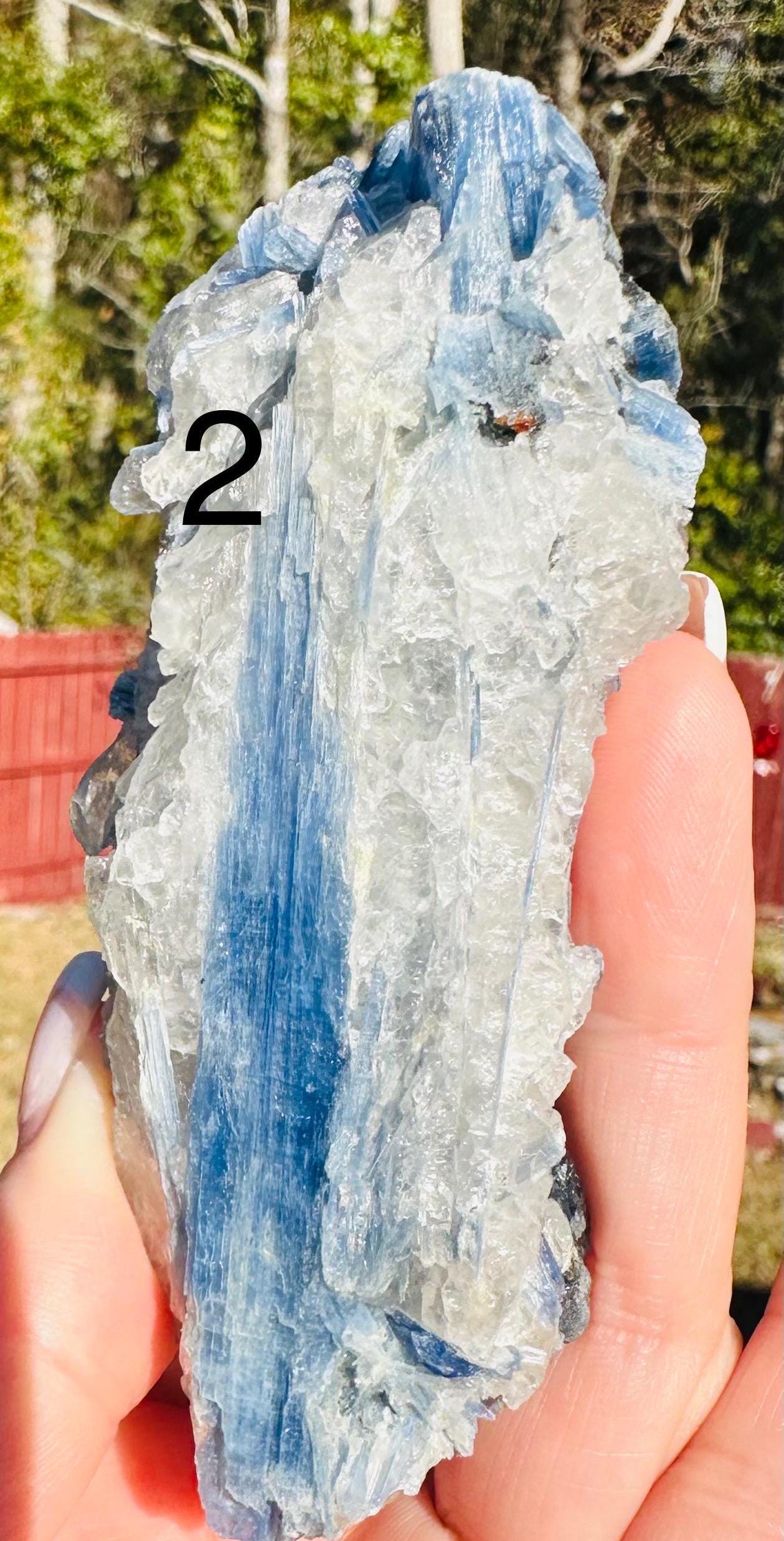Your Choice of Paraiba Blue Kyanite in Quartz