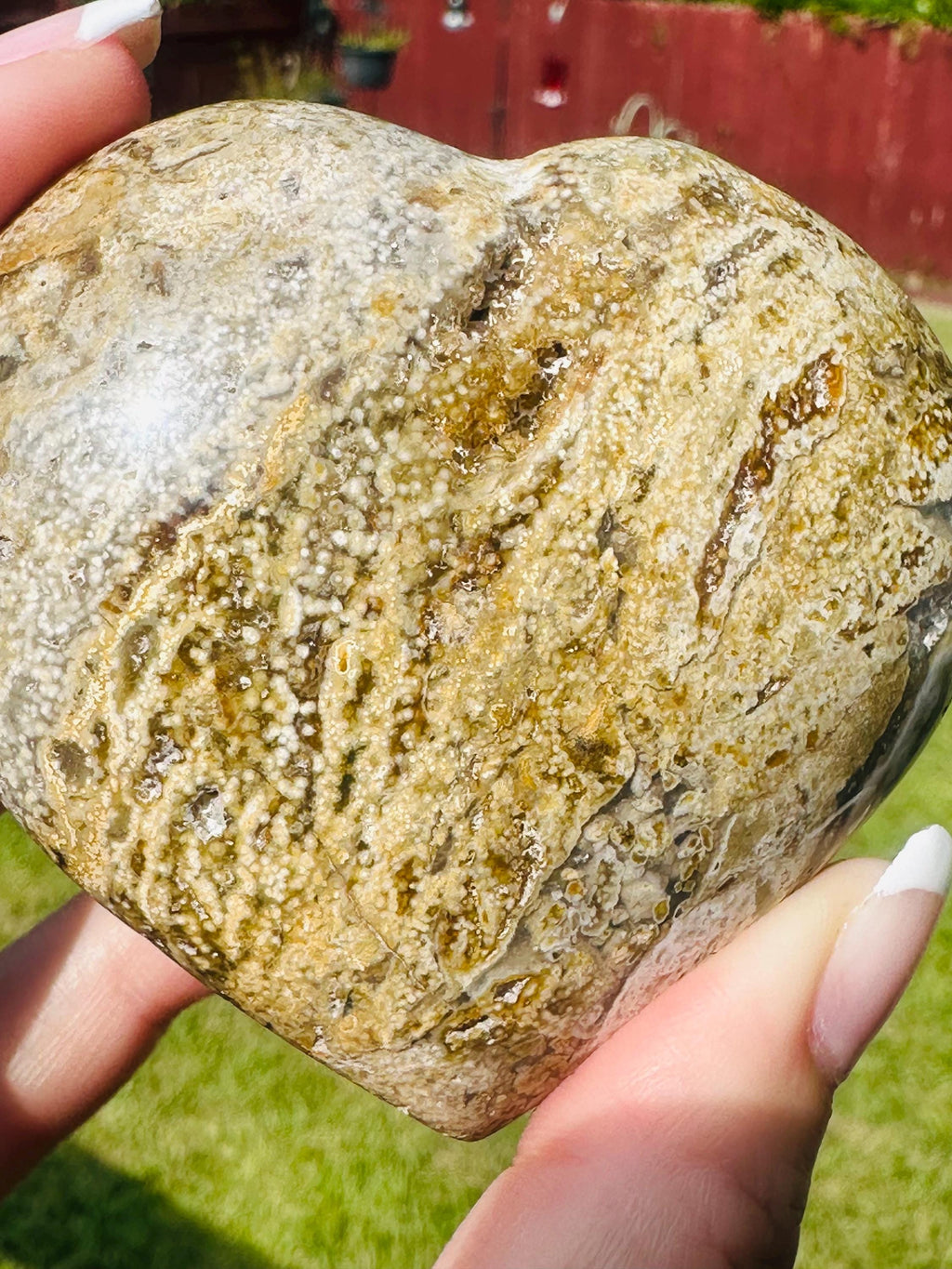 184 Grams of Multi Pattern Ocean Jasper Puffy Heart from Madagascar