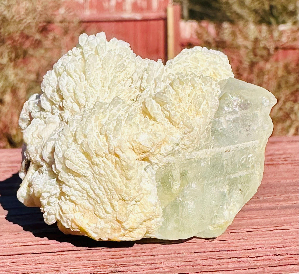 53 grams Goshenite Beryl in Albite from Pakistan