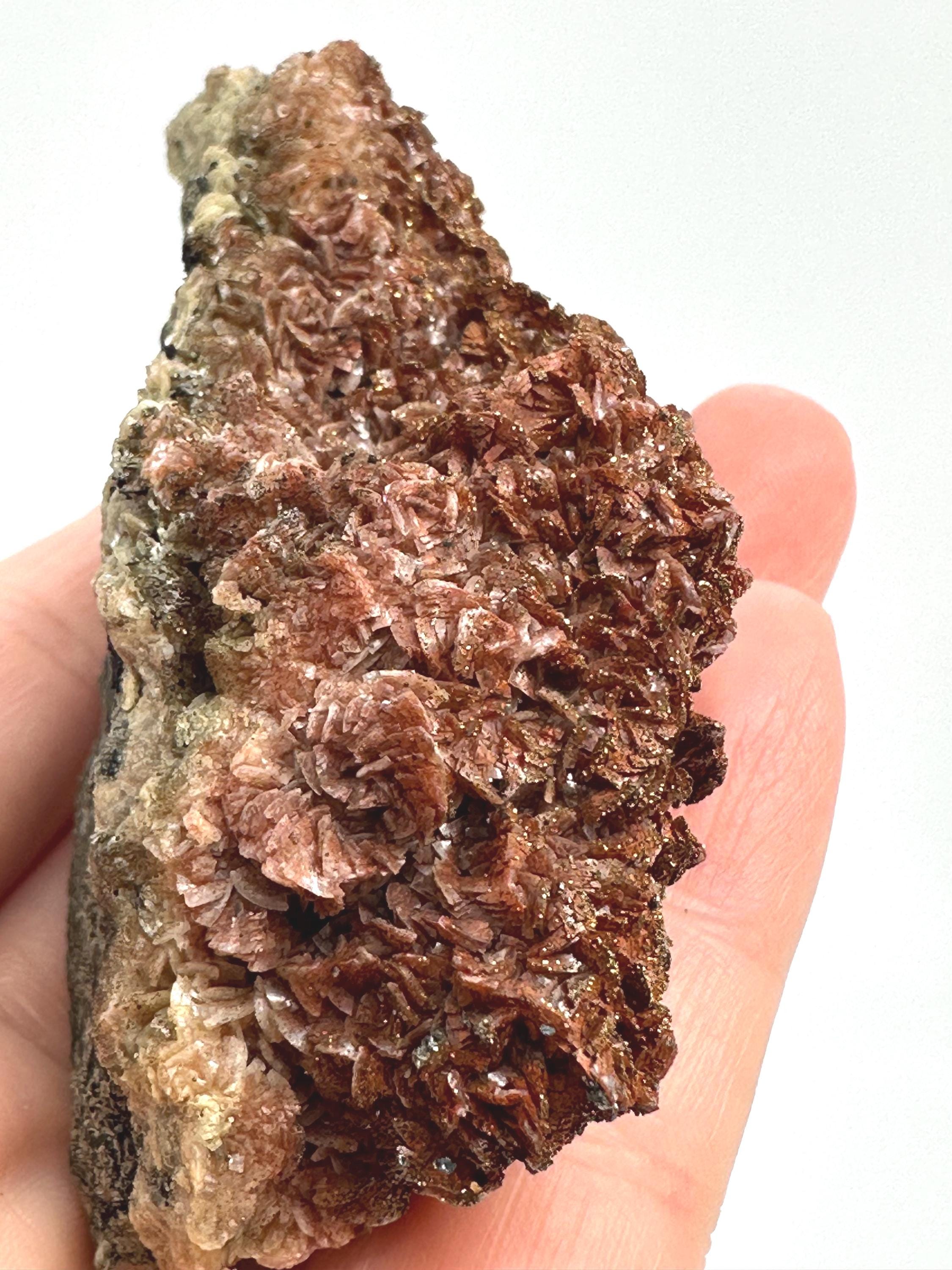 154 Grams One-of-a-Kind Bronze Barite with Pyrite Cubes, Petal-Like Crystal Formation from Morocco  Collector must Have
