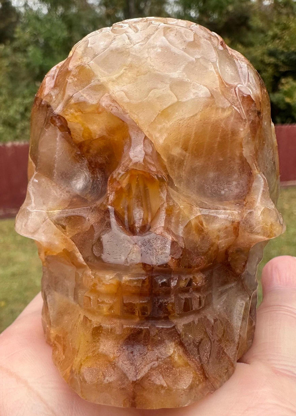 537 Grams Power House Golden Healer Skull with Intricate Engraving