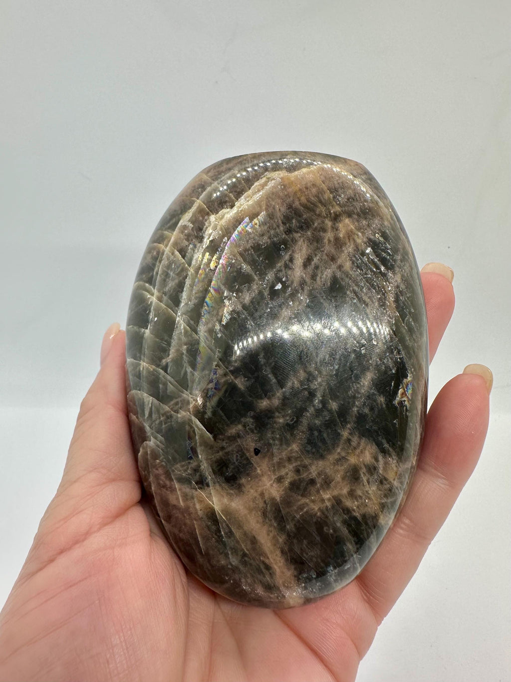 596 Grams Black Moonstone with Rainbows Free Form Madagascar
