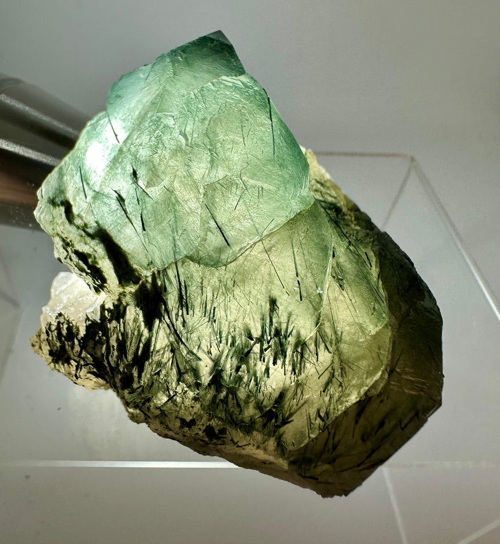 148 Grams Riebeckite-Rich Gwindel‑Like Quartz with Multiple Record Keepers — Skardu, Pakistan