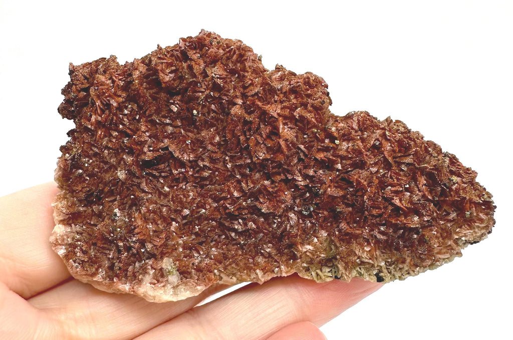 154 Grams One-of-a-Kind Bronze Barite with Pyrite Cubes, Petal-Like Crystal Formation from Morocco  Collector must Have