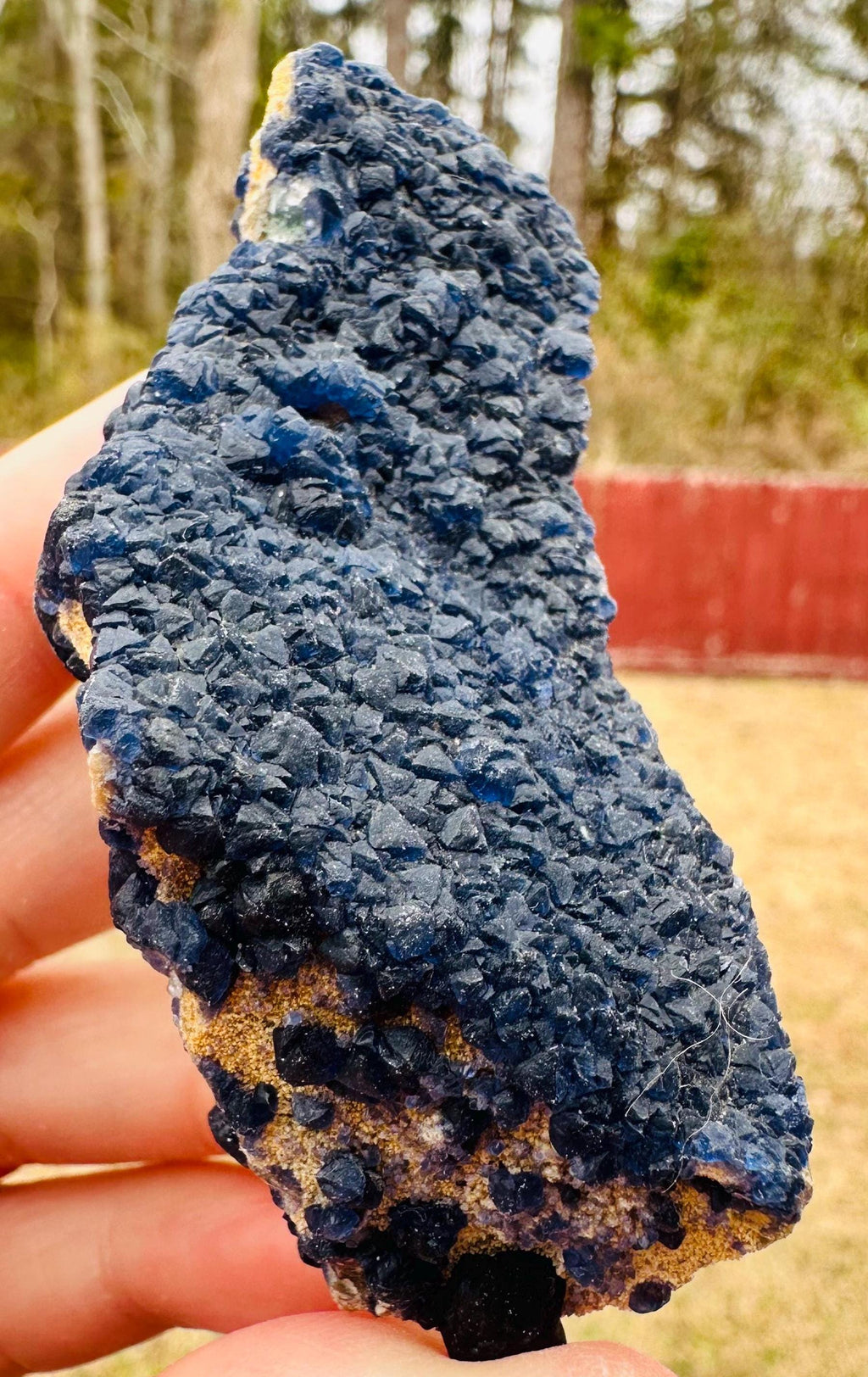 100 Grams Rare Deep Blue Blueberry Fluorite on Matrix from Inner Mongolia