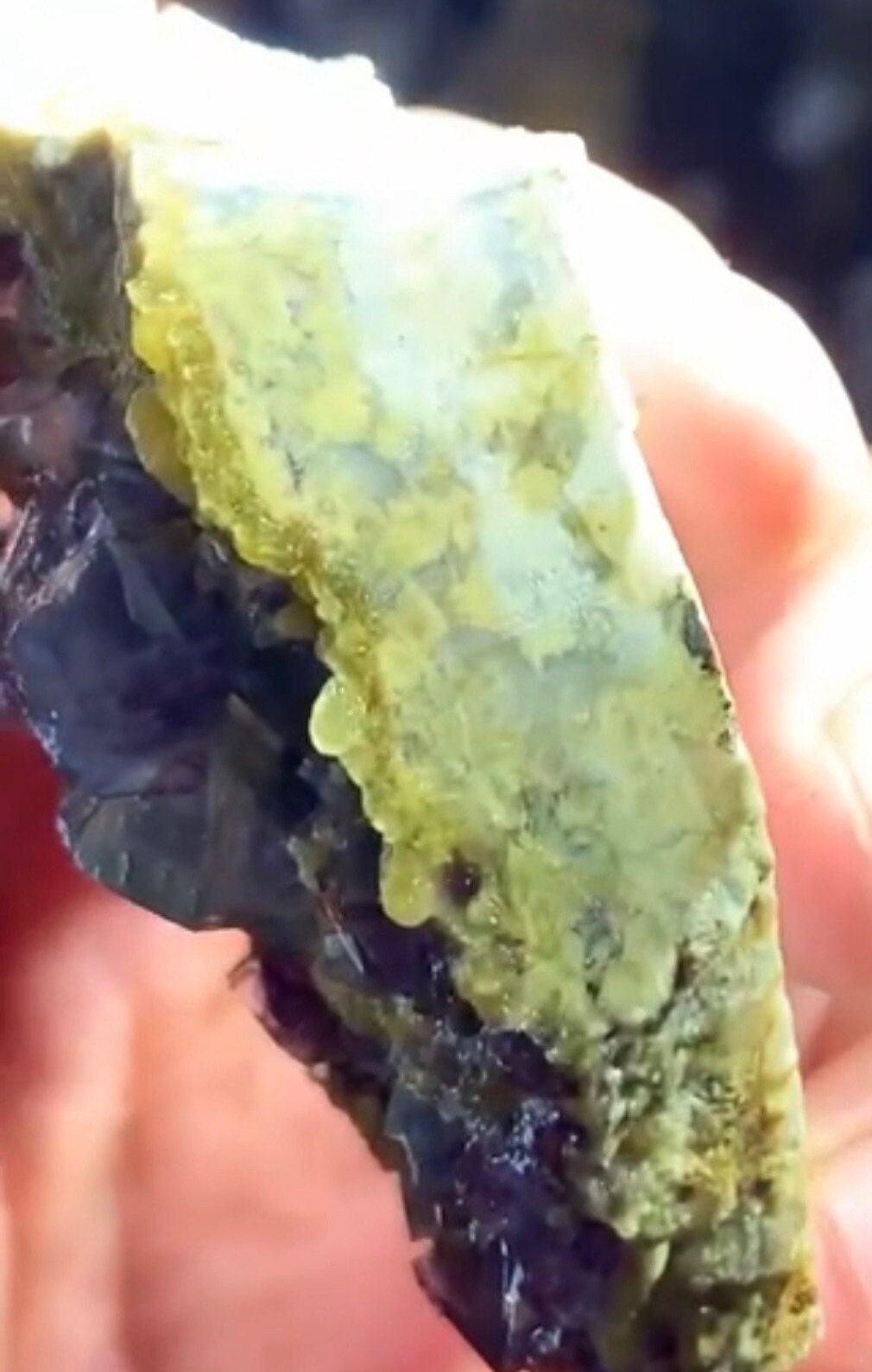 115 Grams Natural Purple Phantom Cubic Flourite over Mica Specimen from China