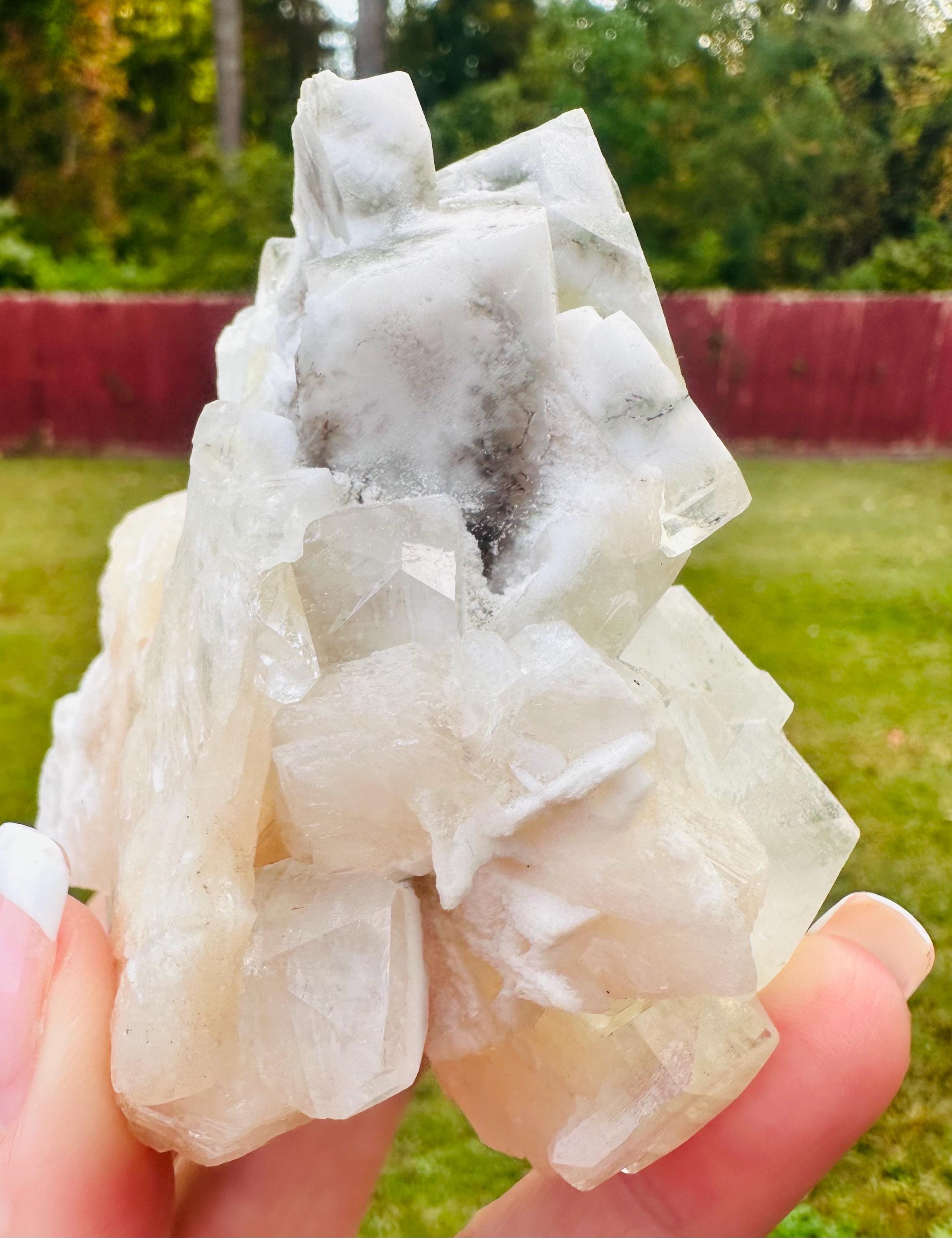 262 Grams Light Green with Gray bandings Apophyllite over glassy stilbite From India
