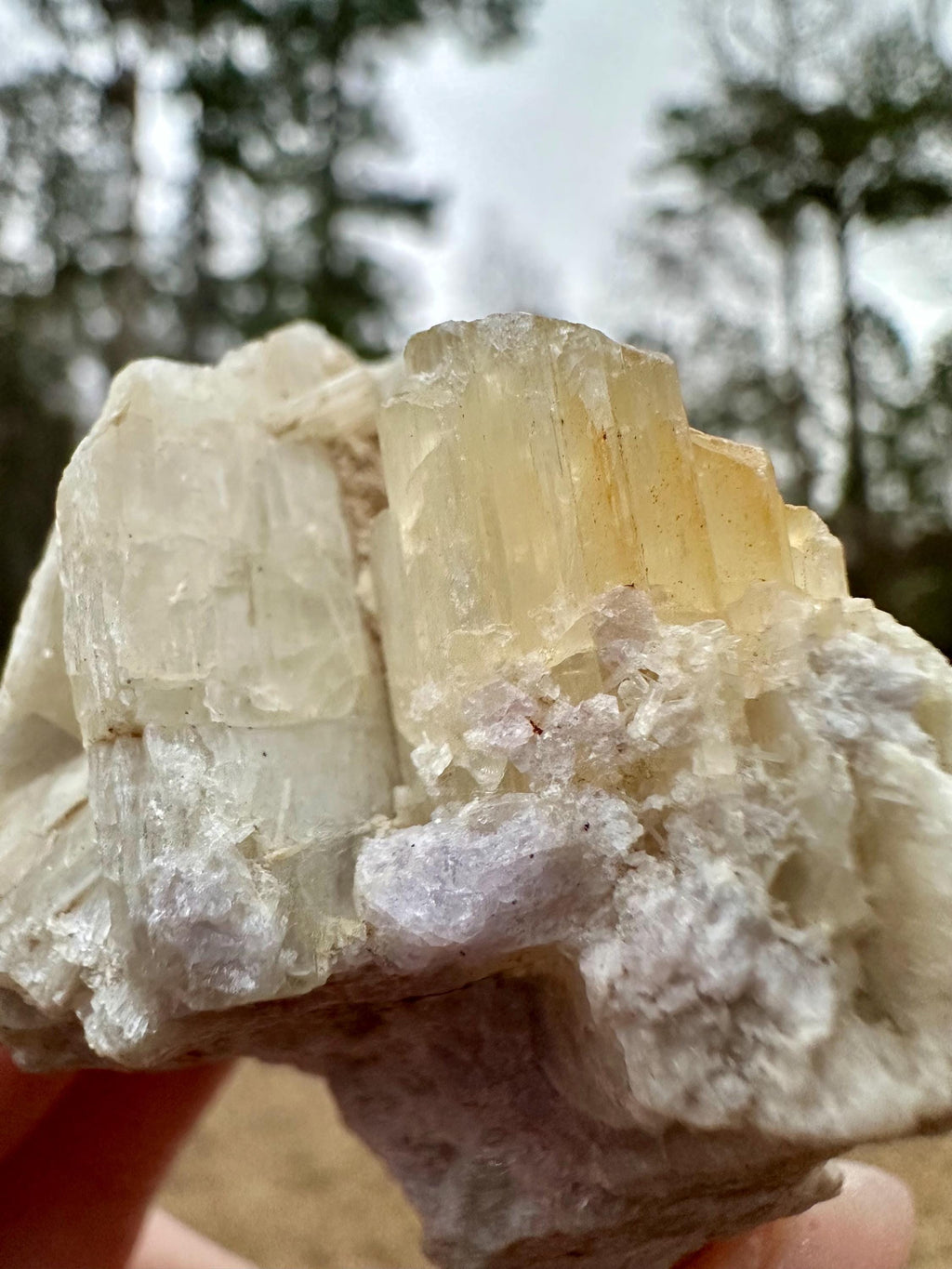 114 grams Rare Combo Winchite in Hackmanite Matrix from Afghanistan