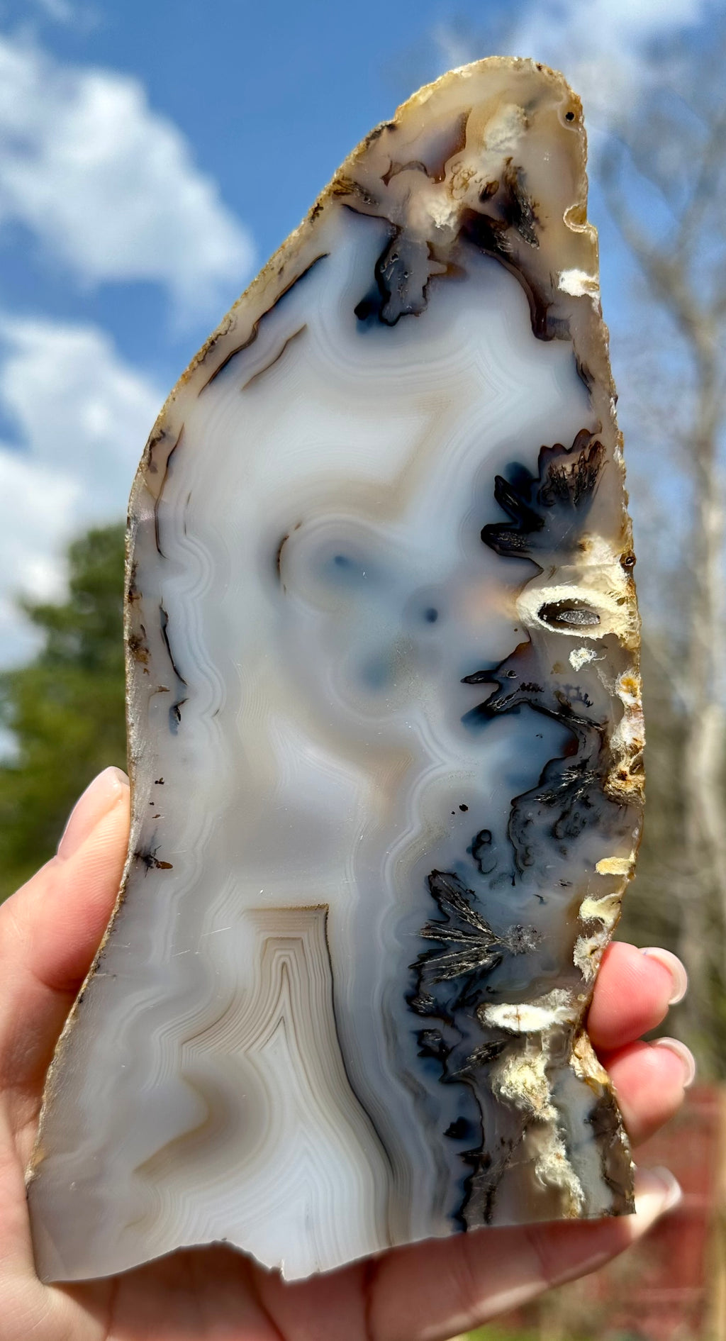 Dendritic Agate Set — Slab, Freeform & Point from Madagascar