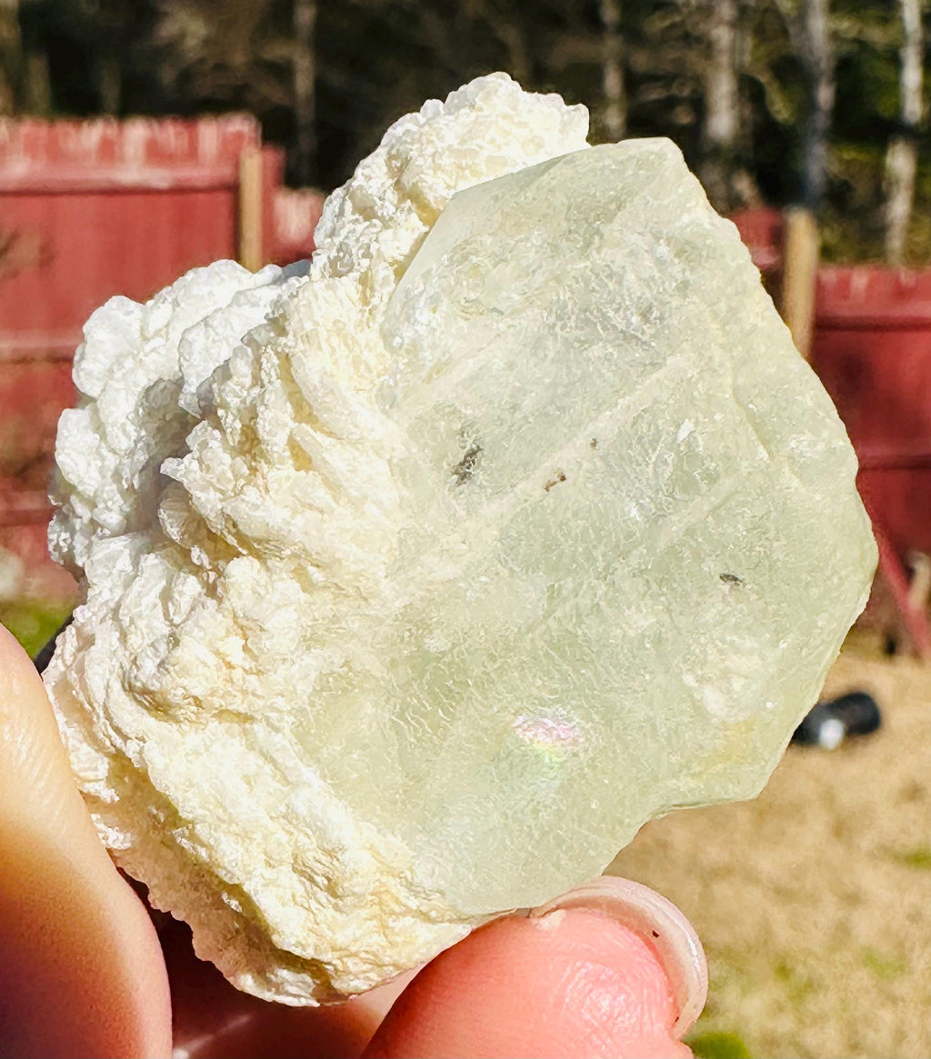 53 grams Goshenite Beryl in Albite from Pakistan
