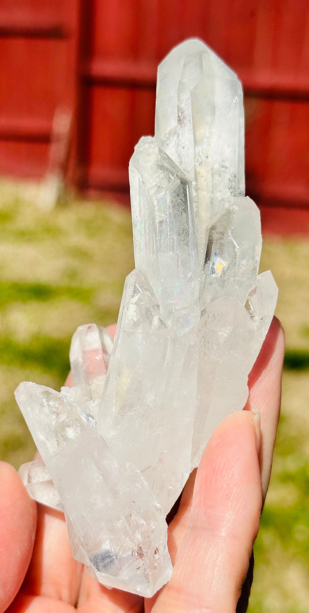 157 Grams Beautiful and Very Special Starbrary Point in a  Clear Quartz Cluster of several DT points.
