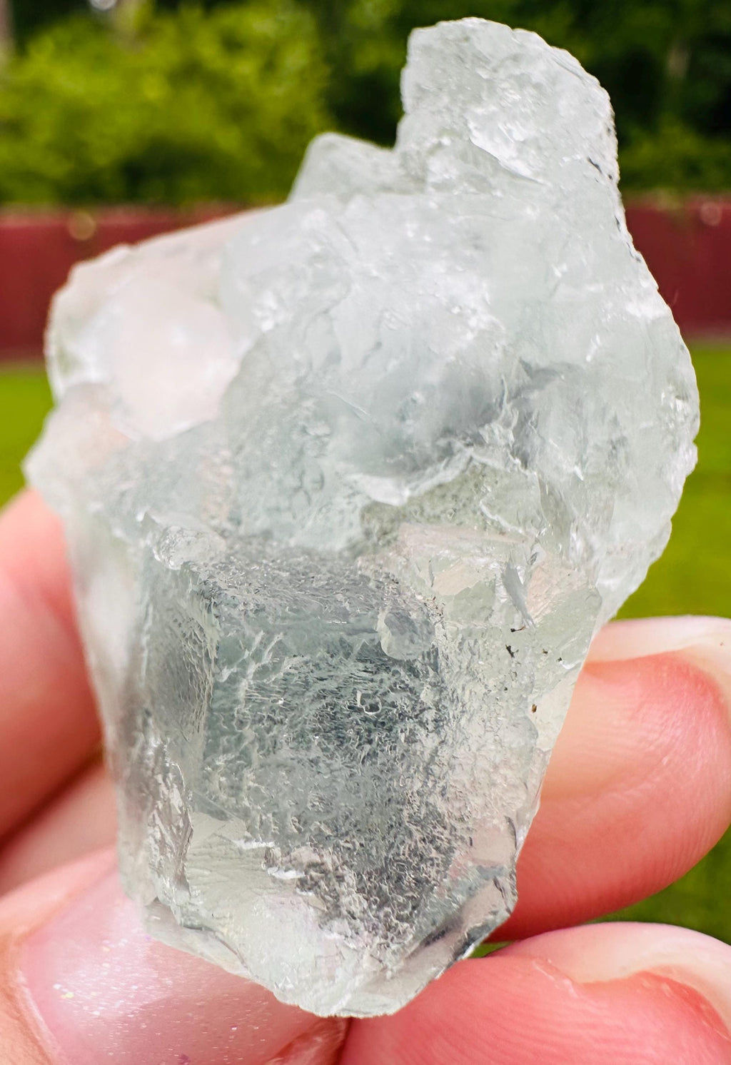 43 Grams Gentle Growth Translucent Light Green Cubic Fluorite Mini Cluster: Heart Healer and Focus Stone Embrace