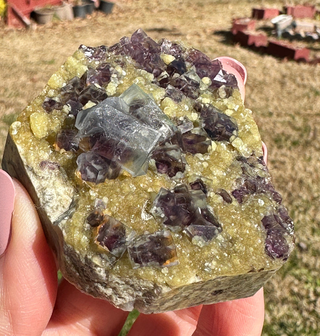 115 Grams Natural Purple Phantom Cubic Flourite over Mica Specimen from China