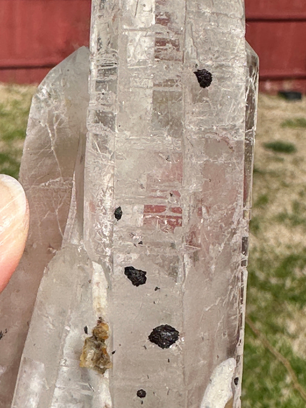125 Grams Clear Quartz Point with mini Specularite Rosettes