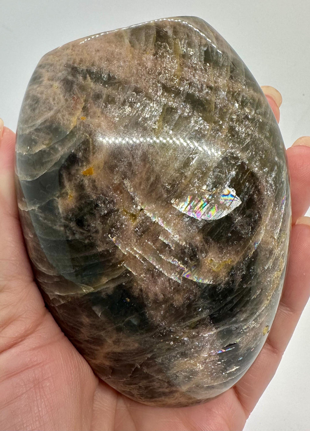 596 Grams Black Moonstone with Rainbows Free Form Madagascar