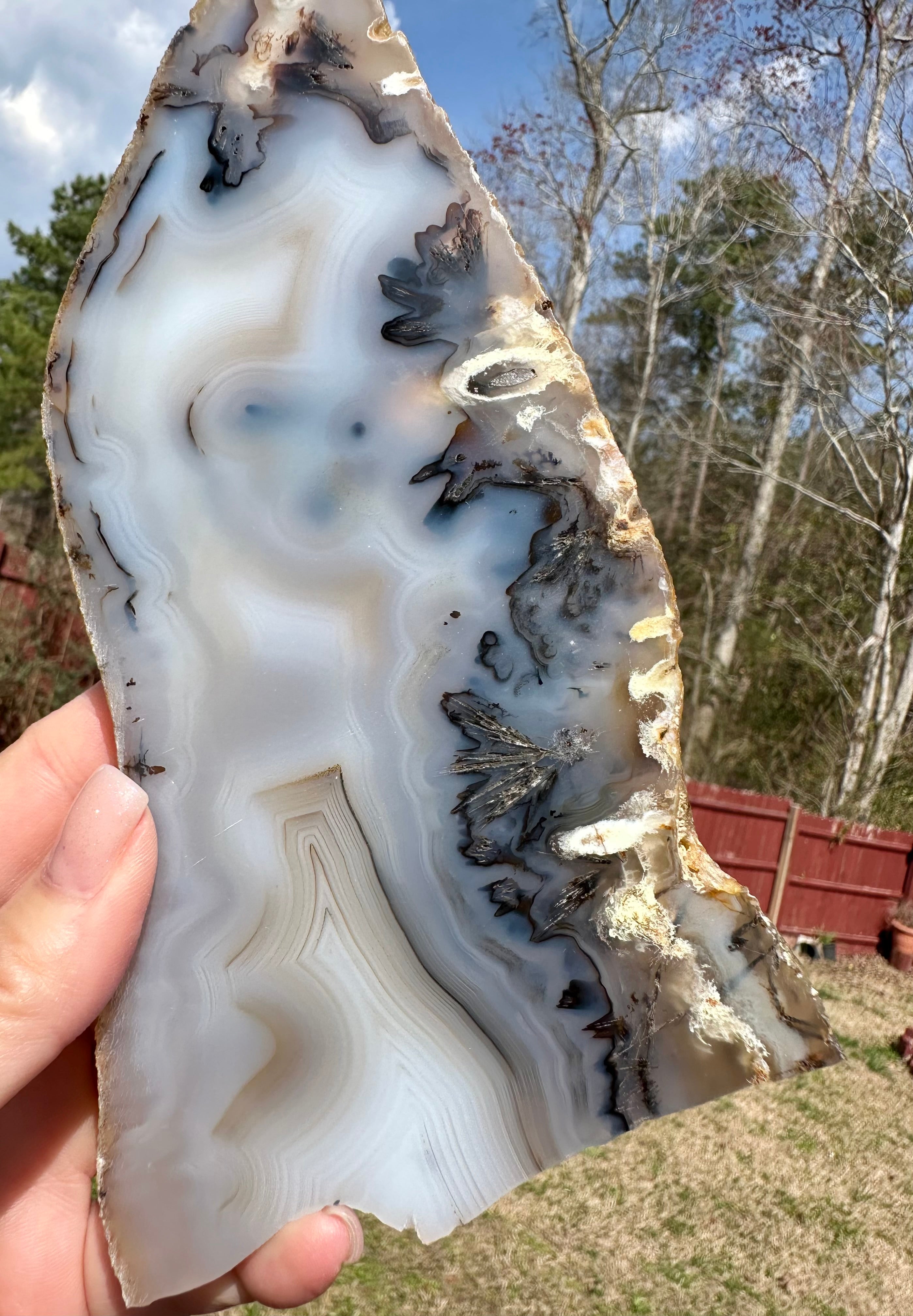 Dendritic Agate Set — Slab, Freeform & Point from Madagascar