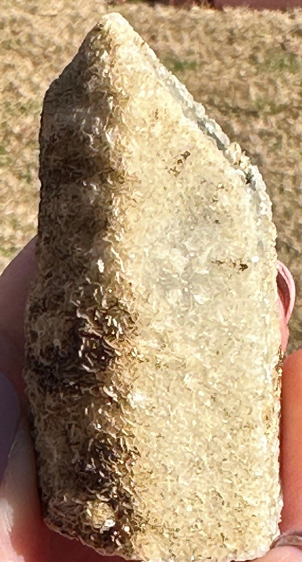 91 Grams Black Morion Quartz covered with Siderite scales and Irrisdecent Chalcopyrite patches