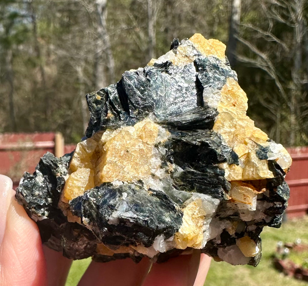 Brazilian Yellow Tourmaline in Biotite