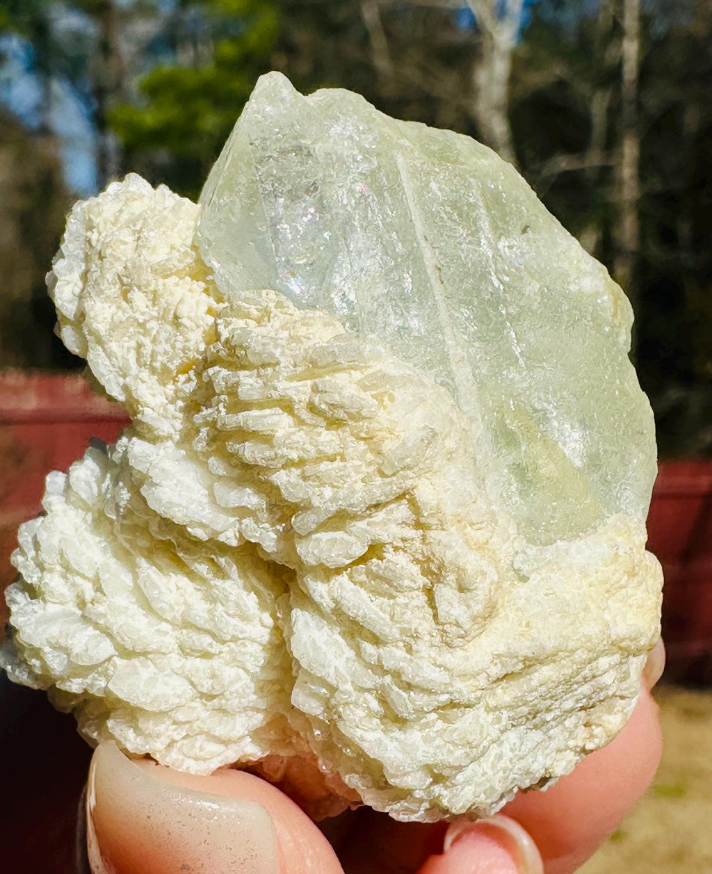 53 grams Goshenite Beryl in Albite from Pakistan