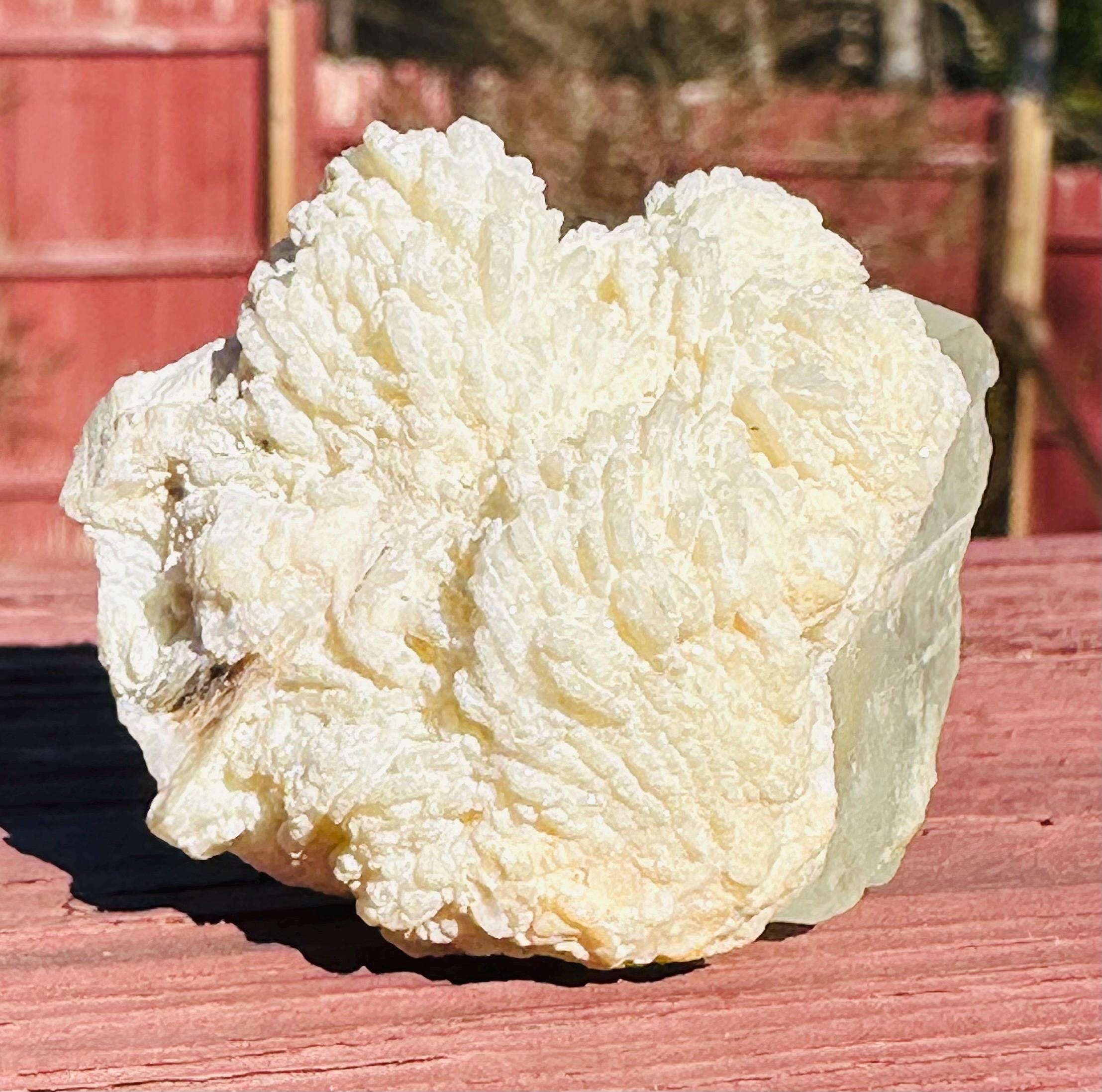 53 grams Goshenite Beryl in Albite from Pakistan