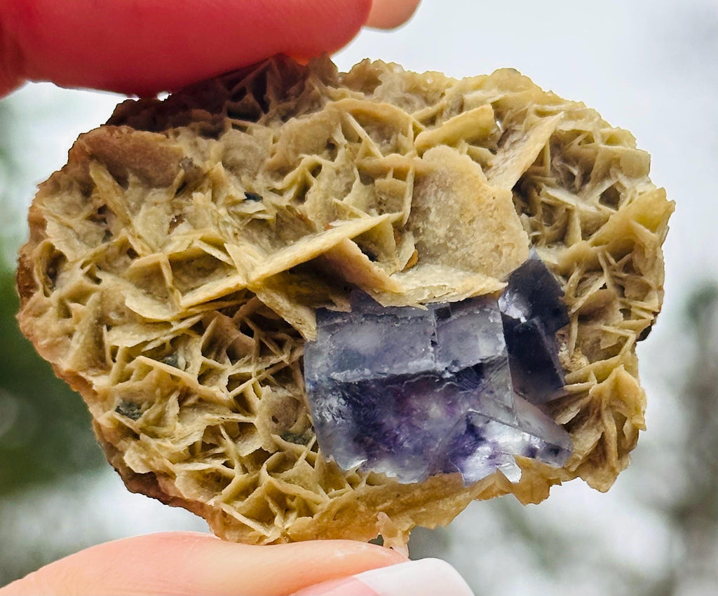 21 Grams Natural Beautiful Transparent Cubic Fluorite with purple phantom on a very Aesthetic Barite Formation