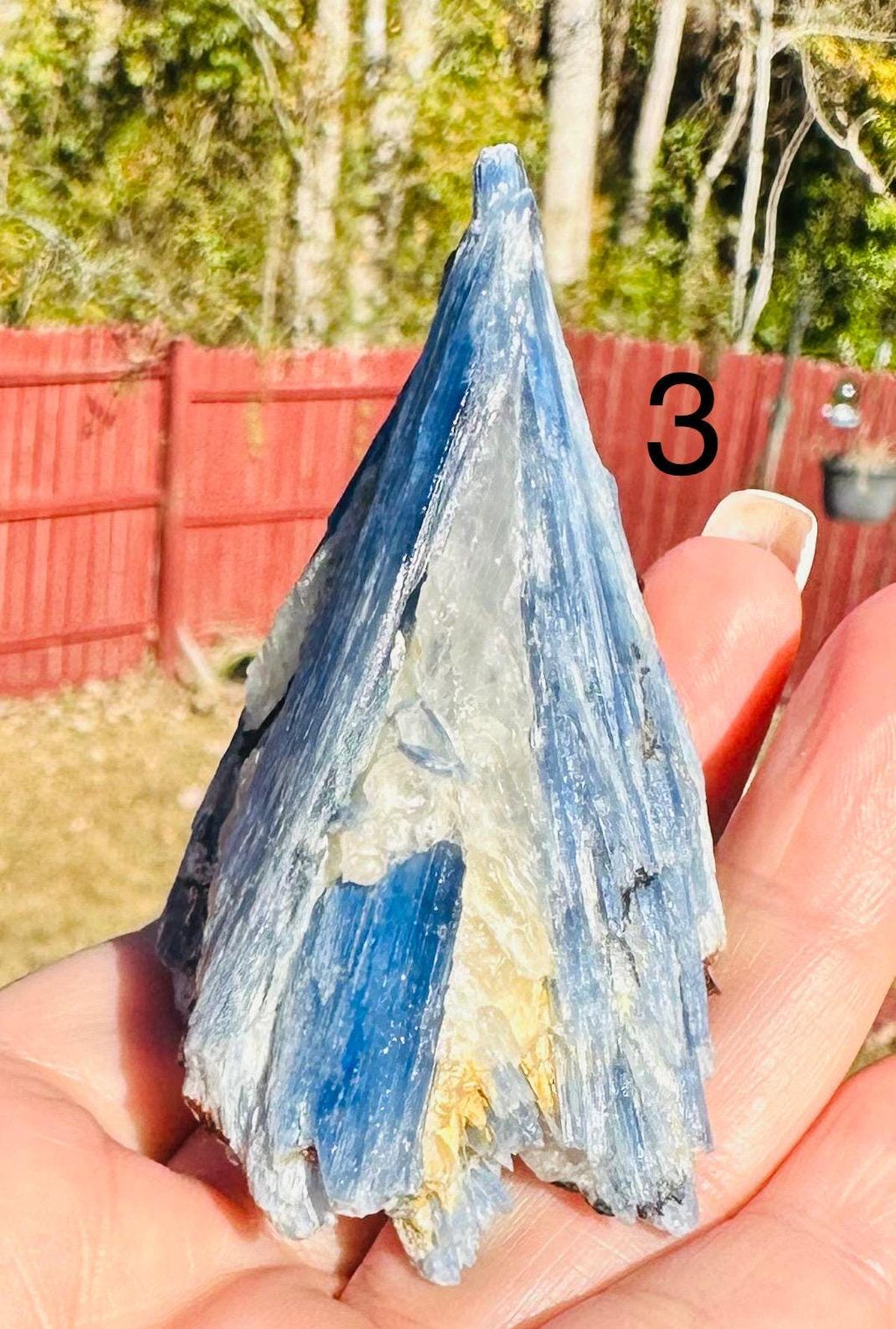 Your Choice of Paraiba Blue Kyanite in Quartz