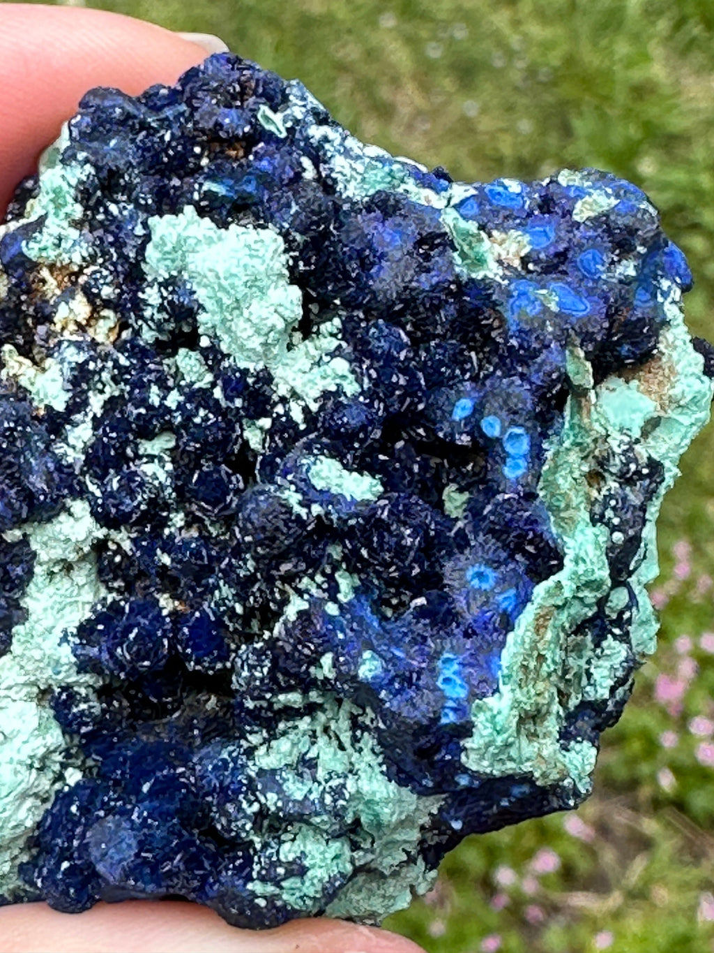 118 Grams Amazing Azurite Crystals and “Blueberries “ Cluster in Chrysocolla with some Orbicular Zoning